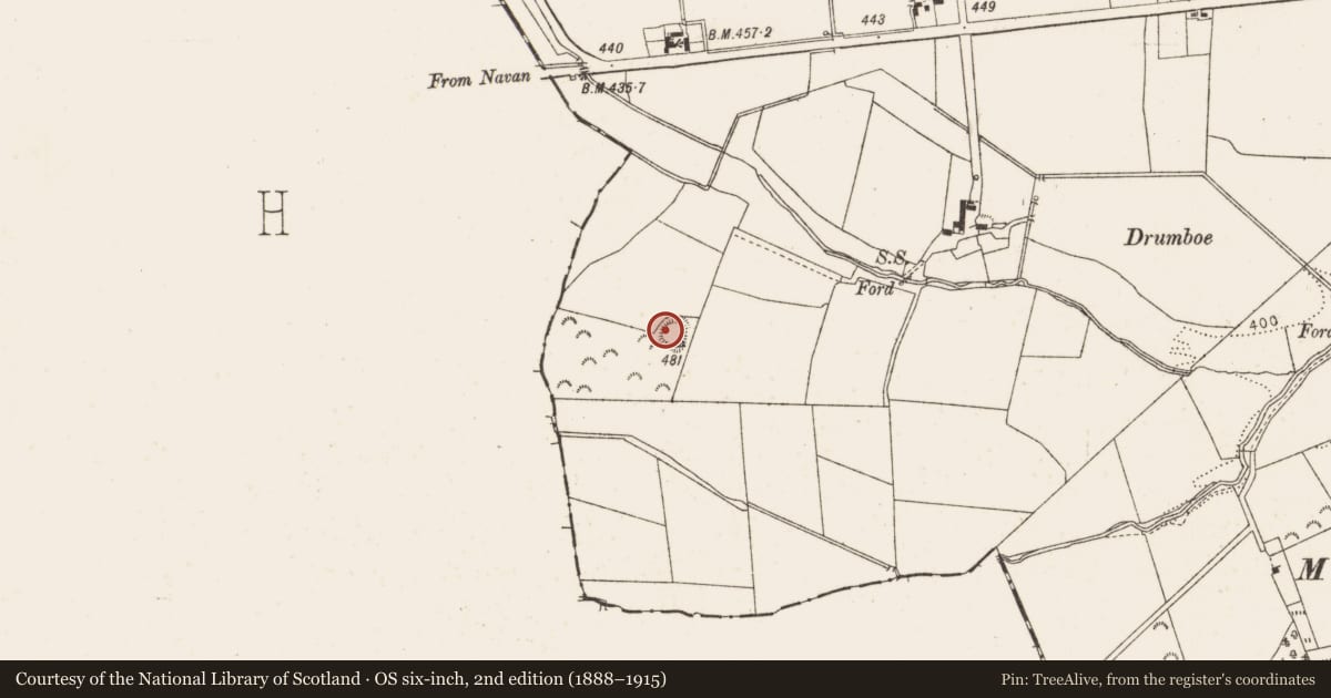 Ordnance Survey six-inch map, 2nd edition (1888–1915) covering the location of Ringfort - rath, Collon, County Louth, with a pin at the register's coordinates