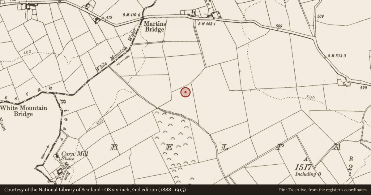 Ordnance Survey six-inch map, 2nd edition (1888–1915) covering the location of Ringfort - rath, Beltichburne, County Louth, with a pin at the register's coordinates