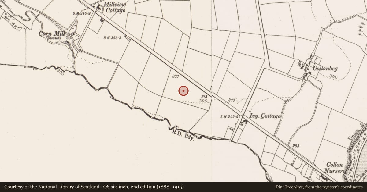 Ordnance Survey six-inch map, 2nd edition (1888–1915) covering the location of Ringfort - rath, Cordoogan, County Louth, with a pin at the register's coordinates