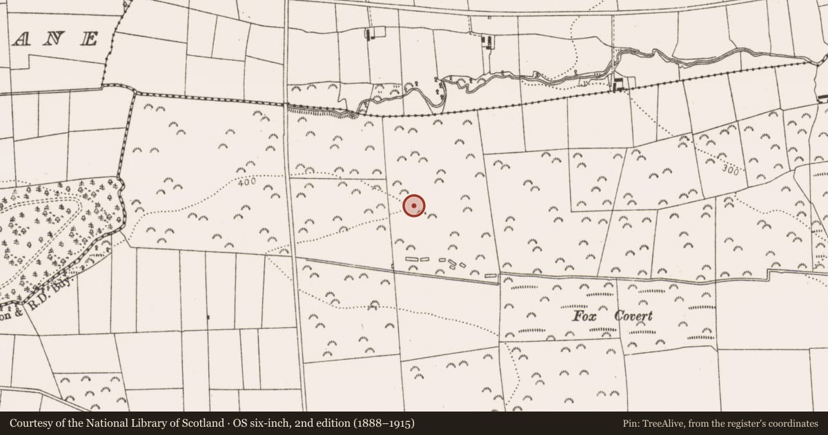 Ordnance Survey six-inch map, 2nd edition (1888–1915) covering the location of Ringfort - rath, Rathdaniel, County Louth, with a pin at the register's coordinates