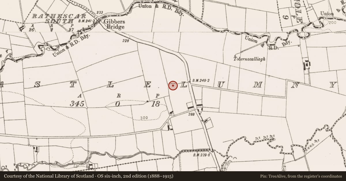 Ordnance Survey six-inch map, 2nd edition (1888–1915) covering the location of Castle - unclassified, Castlelumny, County Louth, with a pin at the register's coordinates