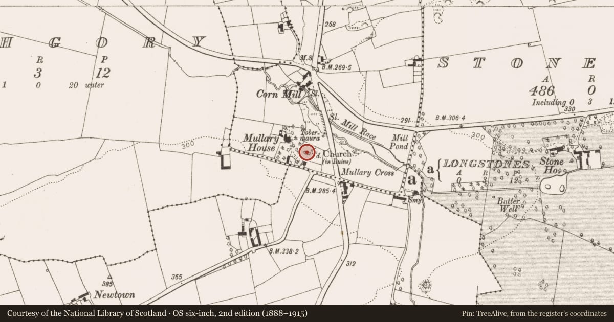 Ordnance Survey six-inch map, 2nd edition (1888–1915) covering the location of Church, Castletown, County Louth, with a pin at the register's coordinates