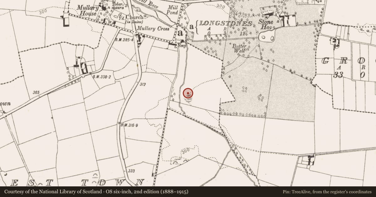Ordnance Survey six-inch map, 2nd edition (1888–1915) covering the location of Castle - motte and bailey, Priest Town, County Louth, with a pin at the register's coordinates