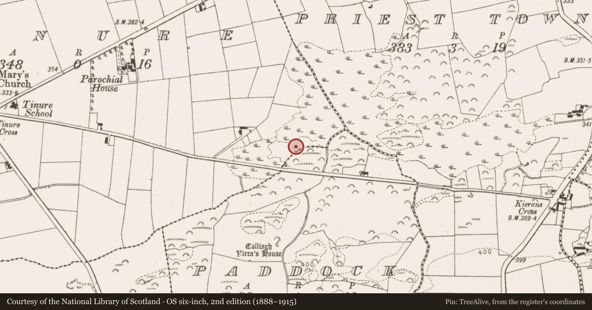 Ordnance Survey six-inch map, 2nd edition (1888–1915) covering the location of Rock scribing, Tinure, County Louth, with a pin at the register's coordinates
