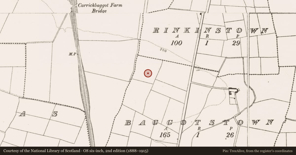 Ordnance Survey six-inch map, 2nd edition (1888–1915) covering the location of Enclosure, Baggotstown, County Louth, with a pin at the register's coordinates