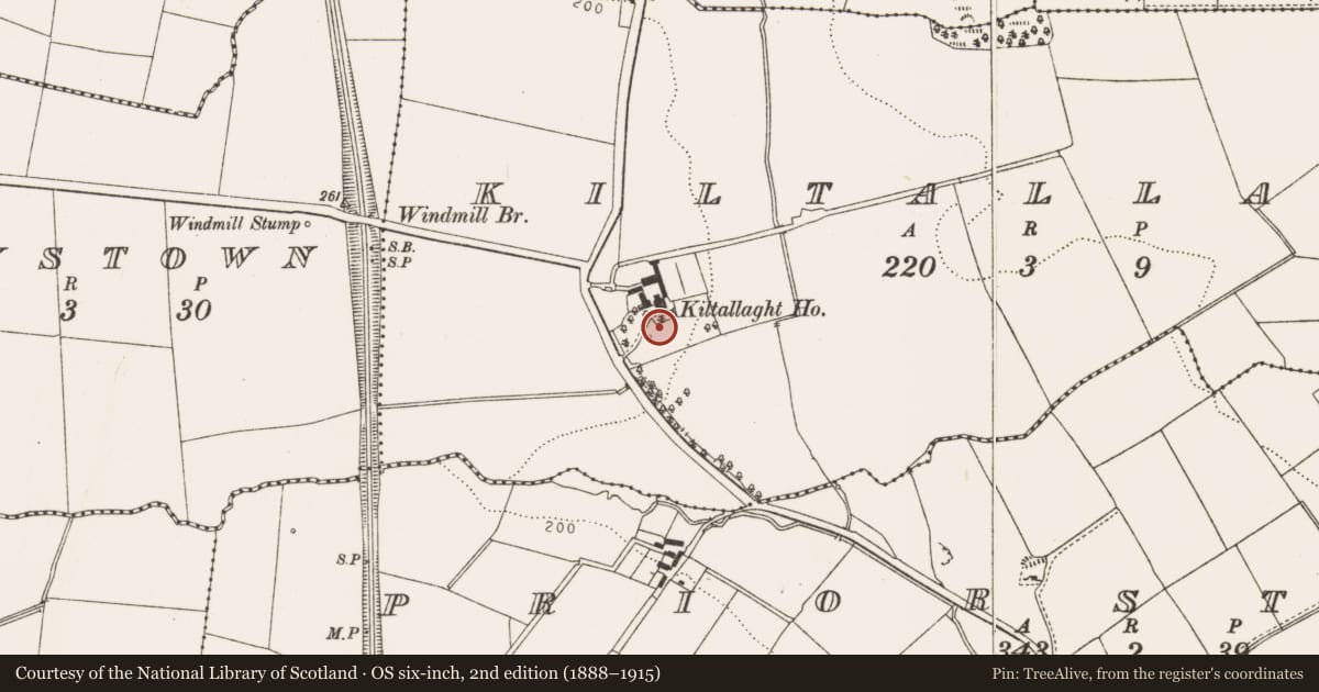 Ordnance Survey six-inch map, 2nd edition (1888–1915) covering the location of Church, Kiltallaght, County Louth, with a pin at the register's coordinates