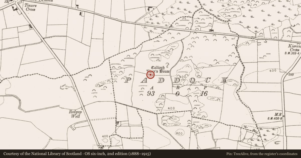 Ordnance Survey six-inch map, 2nd edition (1888–1915) covering the location of Megalithic tomb - wedge tomb, Paddock, County Louth, with a pin at the register's coordinates