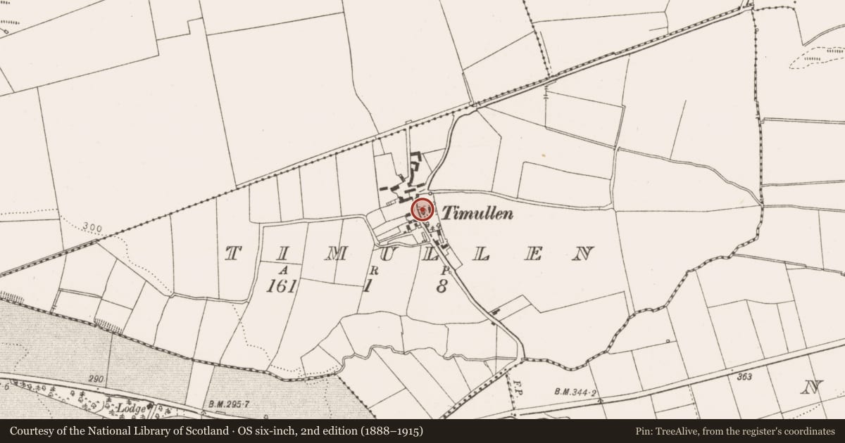 Ordnance Survey six-inch map, 2nd edition (1888–1915) covering the location of Slab-lined burial, Timullen, County Louth, with a pin at the register's coordinates