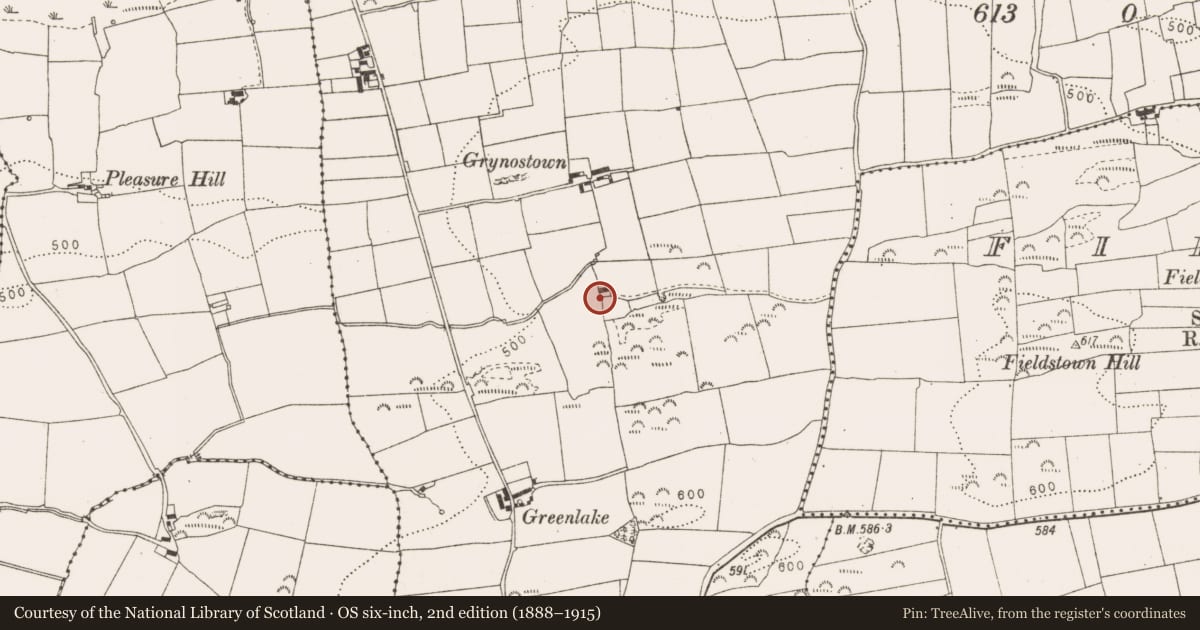 Ordnance Survey six-inch map, 2nd edition (1888–1915) covering the location of Souterrain, Brownstown, County Louth, with a pin at the register's coordinates