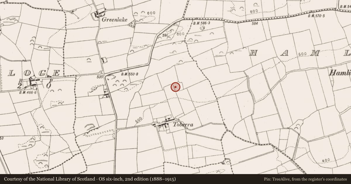 Ordnance Survey six-inch map, 2nd edition (1888–1915) covering the location of Souterrain, Brownstown, County Louth, with a pin at the register's coordinates