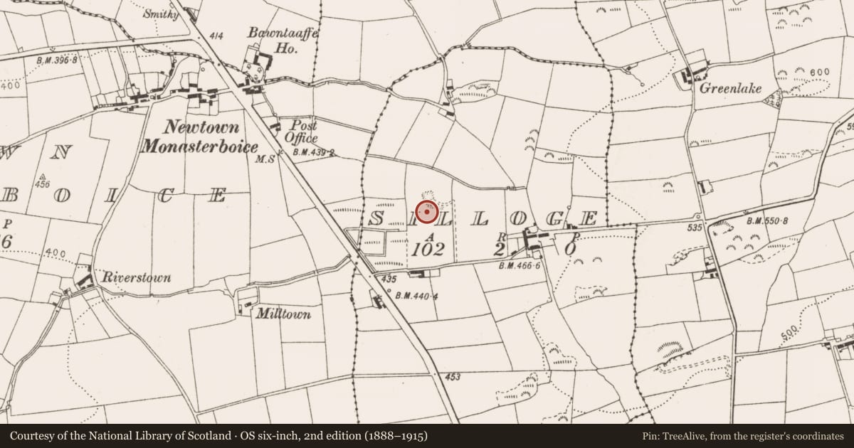 Ordnance Survey six-inch map, 2nd edition (1888–1915) covering the location of Souterrain, Silloge, County Louth, with a pin at the register's coordinates