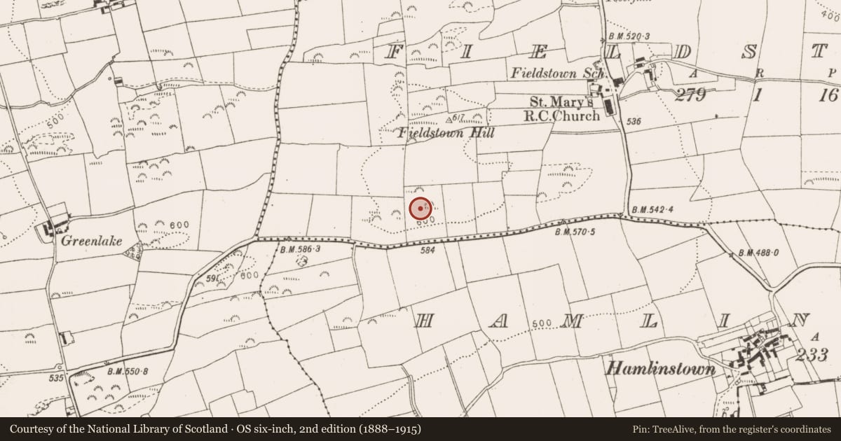Ordnance Survey six-inch map, 2nd edition (1888–1915) covering the location of Cairn - unclassified, Fieldstown, County Louth, with a pin at the register's coordinates
