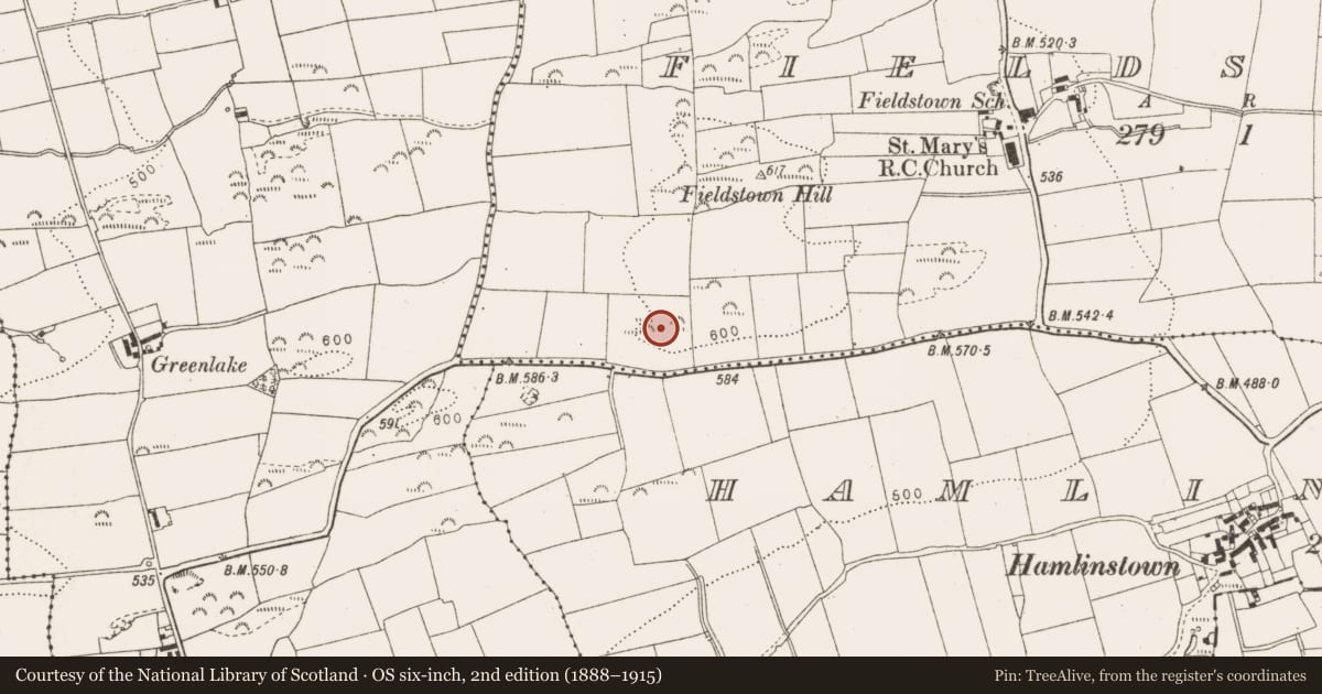 Ordnance Survey six-inch map, 2nd edition (1888–1915) covering the location of Cairn - unclassified, Fieldstown, County Louth, with a pin at the register's coordinates
