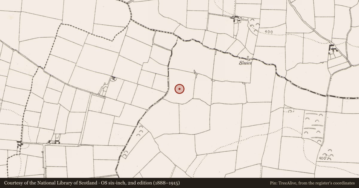 Ordnance Survey six-inch map, 2nd edition (1888–1915) covering the location of Pit-burial, Killineer, County Louth, with a pin at the register's coordinates