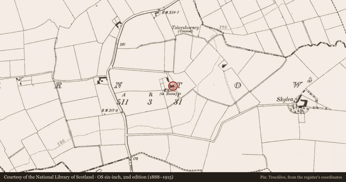 Ordnance Survey six-inch map, 2nd edition (1888–1915) covering the location of Stone head, Carstown (Ferrard by, County Louth, with a pin at the register's coordinates
