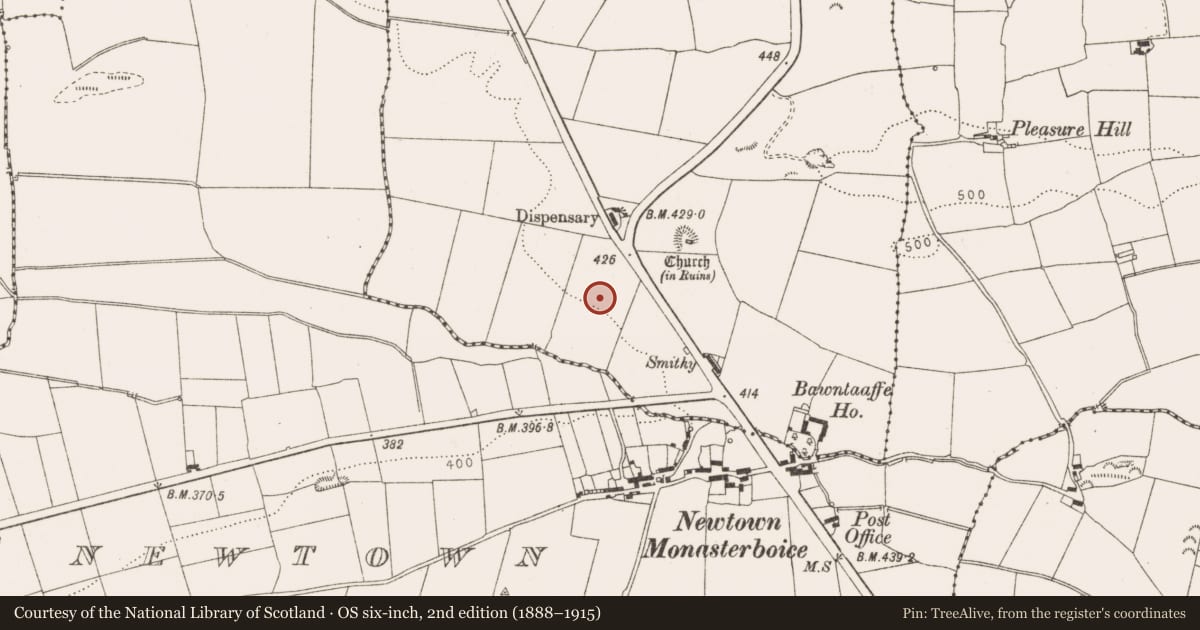 Ordnance Survey six-inch map, 2nd edition (1888–1915) covering the location of Souterrain, Bawntaaffe, County Louth, with a pin at the register's coordinates