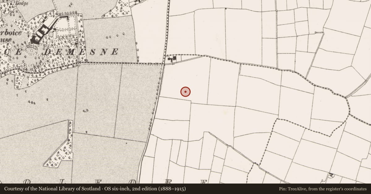 Ordnance Survey six-inch map, 2nd edition (1888–1915) covering the location of Fulacht fia, Coolfore, County Louth, with a pin at the register's coordinates