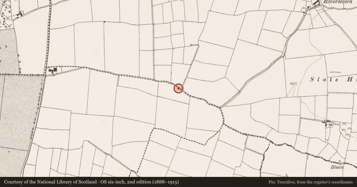Ordnance Survey six-inch map, 2nd edition (1888–1915) covering the location of Fulacht fia, Coolfore, County Louth, with a pin at the register's coordinates