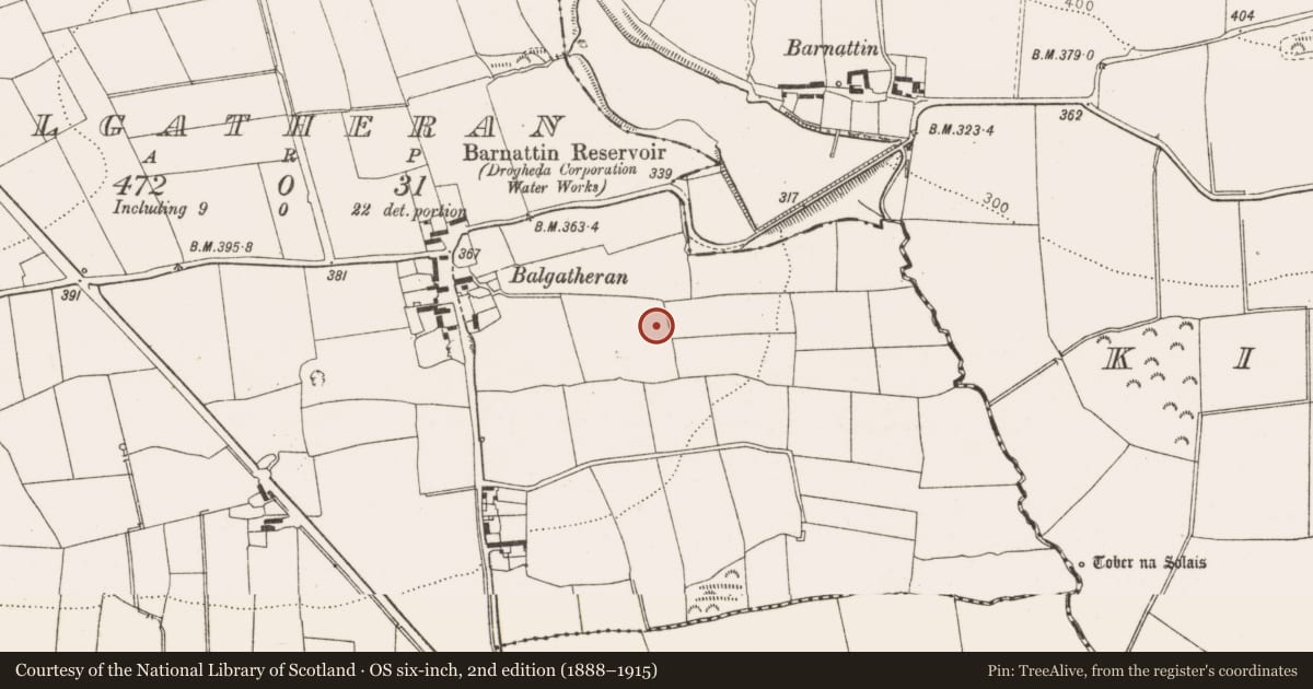 Ordnance Survey six-inch map, 2nd edition (1888–1915) covering the location of Hut site, Balgatheran, County Louth, with a pin at the register's coordinates