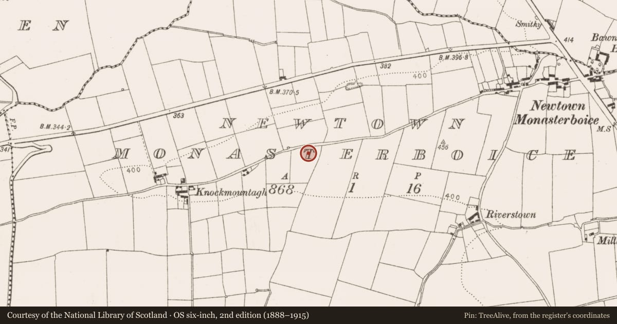 Ordnance Survey six-inch map, 2nd edition (1888–1915) covering the location of Excavation - miscellaneous, Newtown Monasterboice, County Louth, with a pin at the register's coordinates