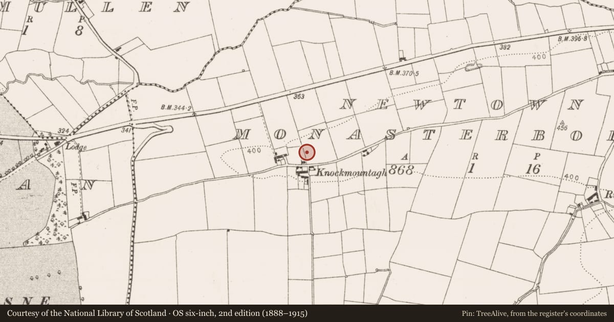 Ordnance Survey six-inch map, 2nd edition (1888–1915) covering the location of Excavation - miscellaneous, Newtown Monasterboice, County Louth, with a pin at the register's coordinates