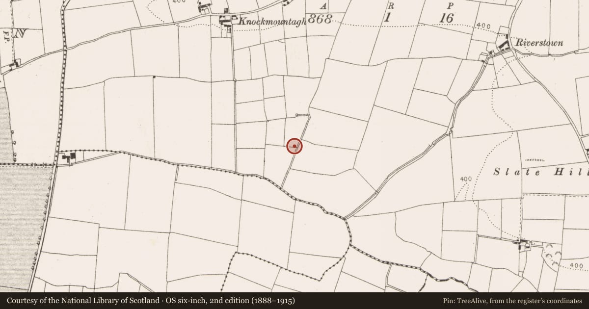 Ordnance Survey six-inch map, 2nd edition (1888–1915) covering the location of Excavation - miscellaneous, Newtown Monasterboice, County Louth, with a pin at the register's coordinates