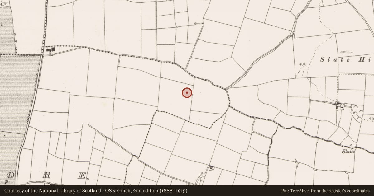 Ordnance Survey six-inch map, 2nd edition (1888–1915) covering the location of House - Neolithic, Coolfore, County Louth, with a pin at the register's coordinates