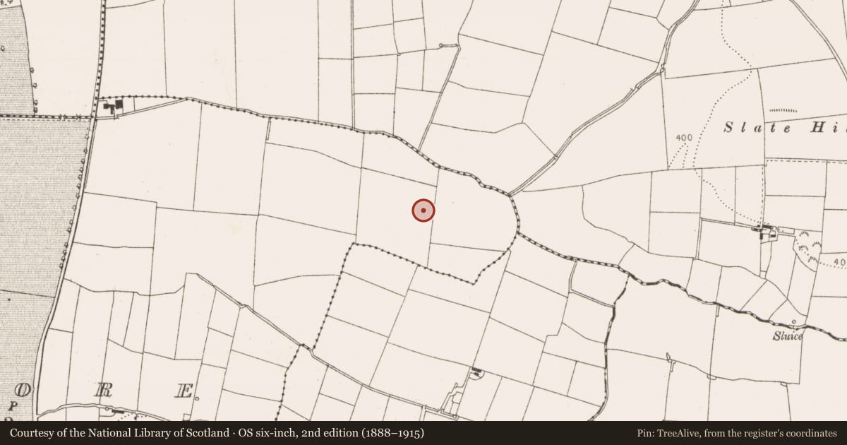 Ordnance Survey six-inch map, 2nd edition (1888–1915) covering the location of Excavation - miscellaneous, Coolfore, County Louth, with a pin at the register's coordinates