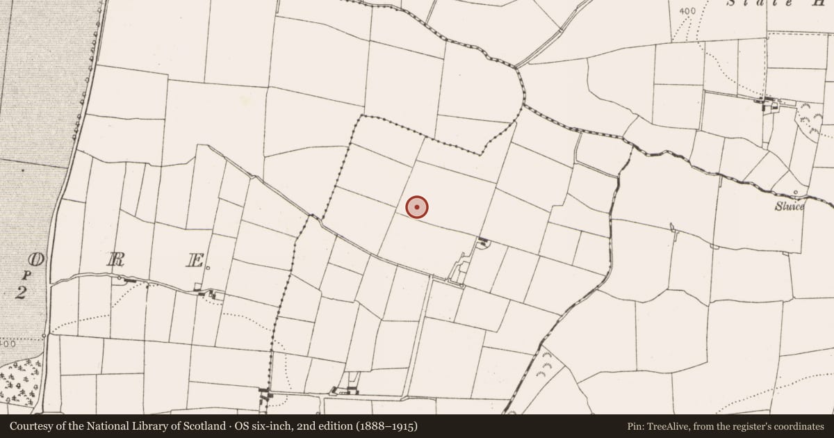 Ordnance Survey six-inch map, 2nd edition (1888–1915) covering the location of Structure, Balgatheran, County Louth, with a pin at the register's coordinates