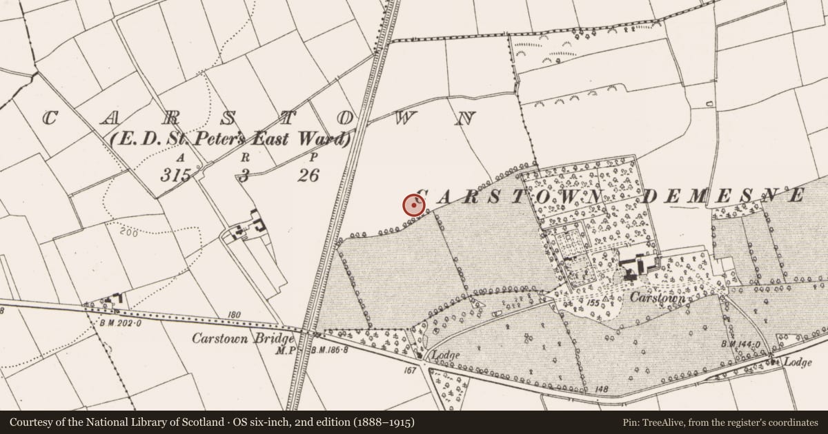 Ordnance Survey six-inch map, 2nd edition (1888–1915) covering the location of Enclosure, Carstown (Ferrard by, County Louth, with a pin at the register's coordinates
