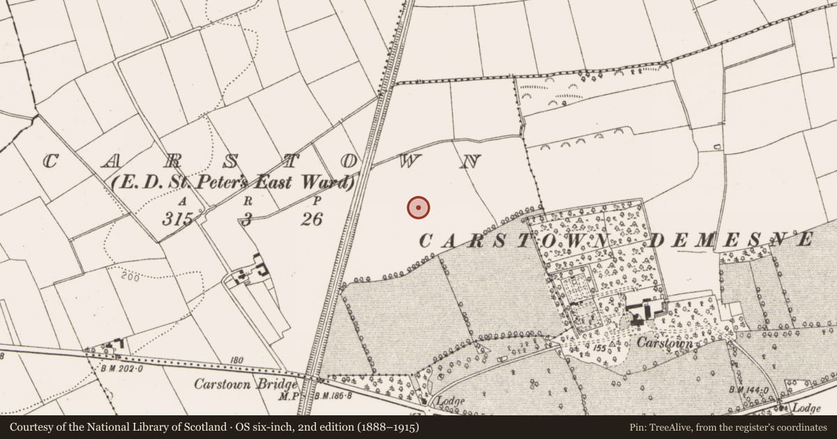 Ordnance Survey six-inch map, 2nd edition (1888–1915) covering the location of Field system, Carstown (Ferrard by, County Louth, with a pin at the register's coordinates