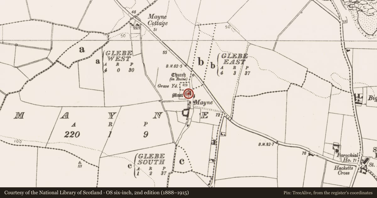 Ordnance Survey six-inch map, 2nd edition (1888–1915) covering the location of Castle - motte, Mayne, County Louth, with a pin at the register's coordinates