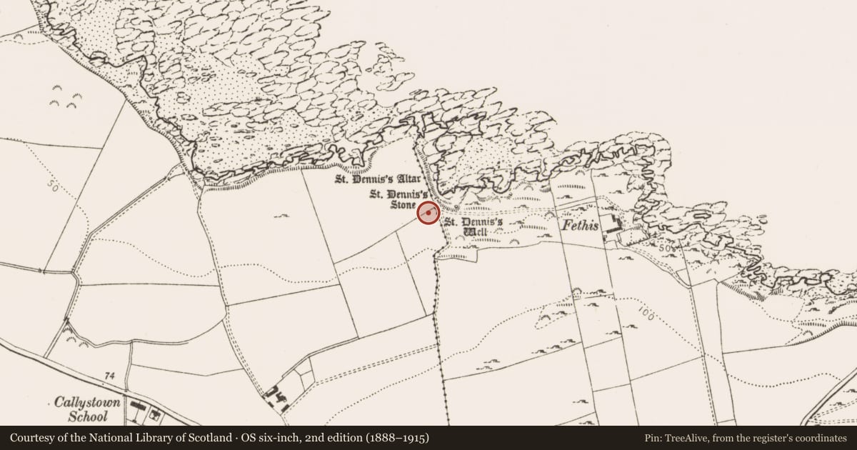 Ordnance Survey six-inch map, 2nd edition (1888–1915) covering the location of Ritual site - holy/saint's stone, Callystown, County Louth, with a pin at the register's coordinates