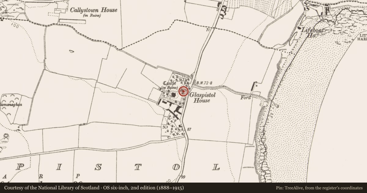 Ordnance Survey six-inch map, 2nd edition (1888–1915) covering the location of Castle - tower house, Glaspistol, County Louth, with a pin at the register's coordinates