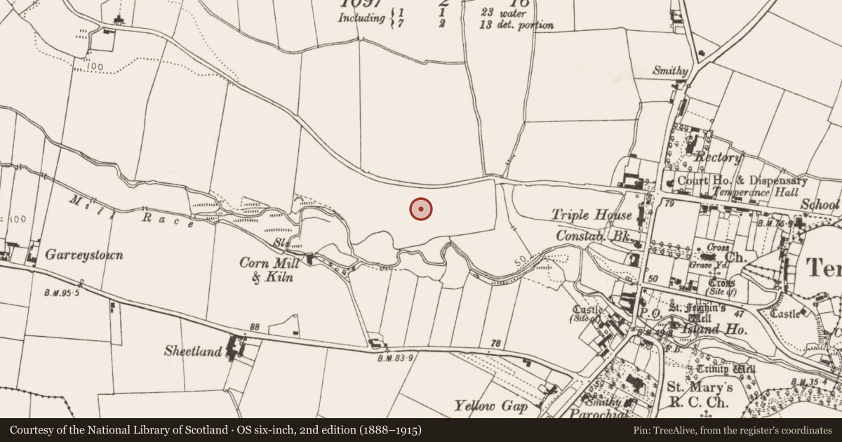 Ordnance Survey six-inch map, 2nd edition (1888–1915) covering the location of Enclosure, Termonfeckin, County Louth, with a pin at the register's coordinates
