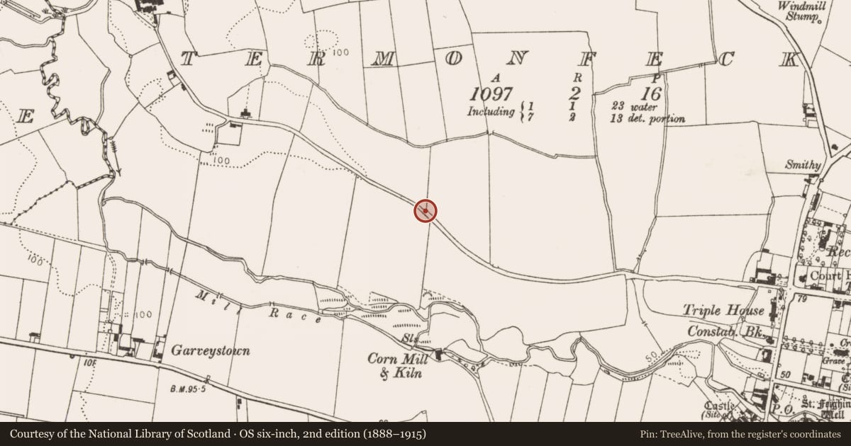 Ordnance Survey six-inch map, 2nd edition (1888–1915) covering the location of Souterrain, Termonfeckin, County Louth, with a pin at the register's coordinates