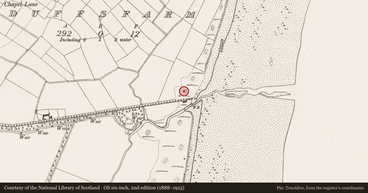 Ordnance Survey six-inch map, 2nd edition (1888–1915) covering the location of Hearth, Duffsfarm, County Louth, with a pin at the register's coordinates