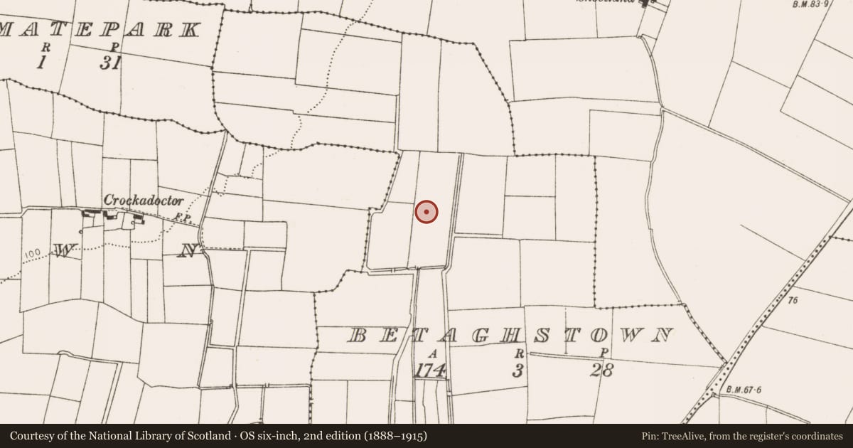 Ordnance Survey six-inch map, 2nd edition (1888–1915) covering the location of Souterrain, Betaghstown, County Louth, with a pin at the register's coordinates