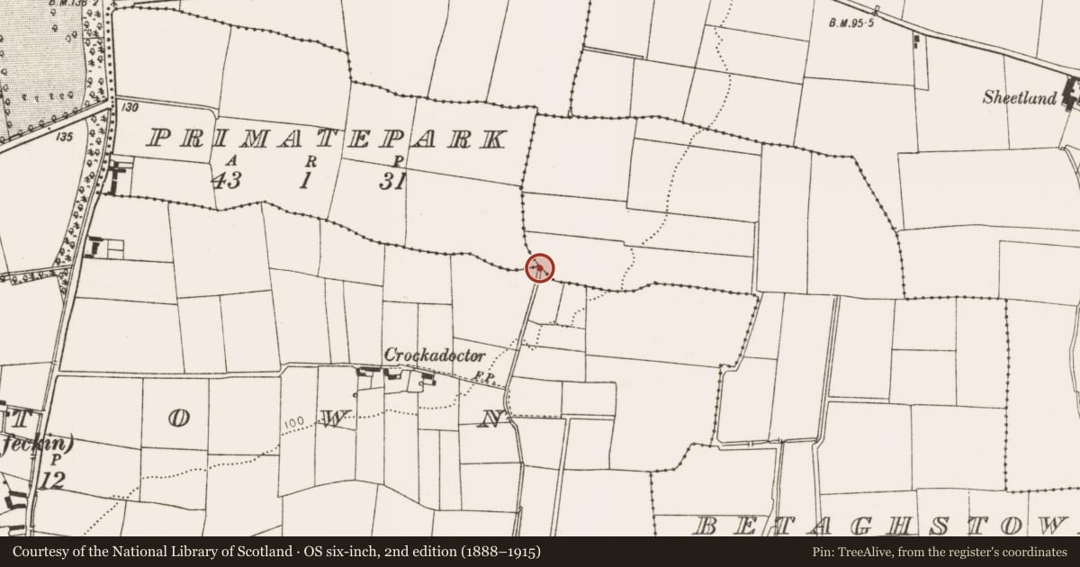 Ordnance Survey six-inch map, 2nd edition (1888–1915) covering the location of Church, Betaghstown, County Louth, with a pin at the register's coordinates