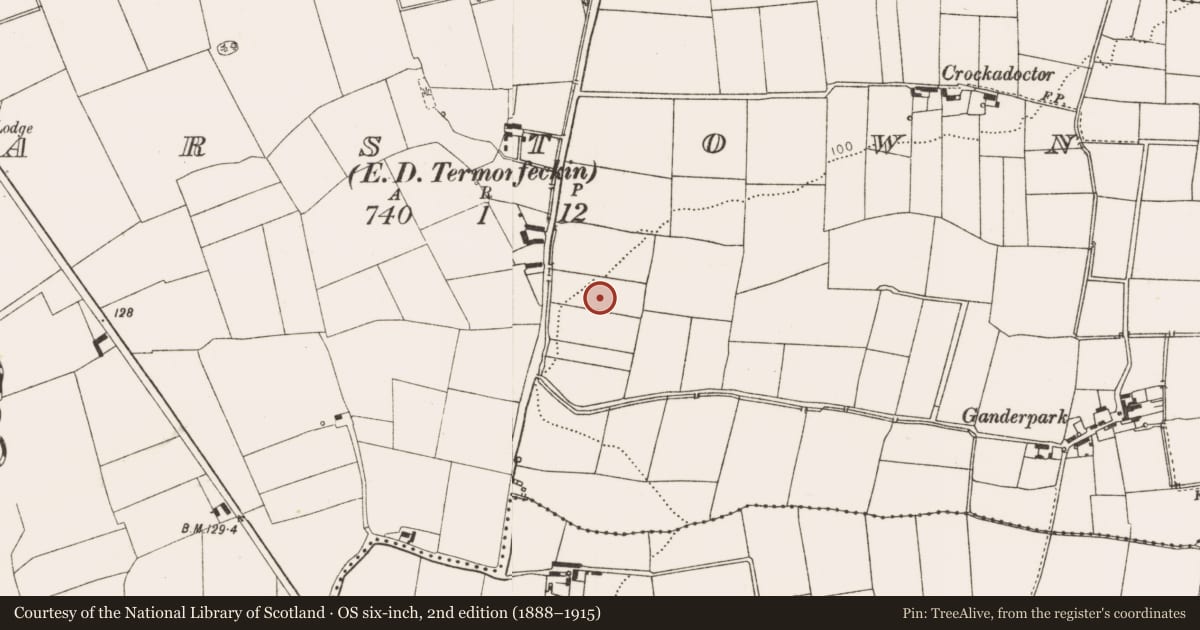 Ordnance Survey six-inch map, 2nd edition (1888–1915) covering the location of Fulacht fia, Carstown (Ferrard by, County Louth, with a pin at the register's coordinates