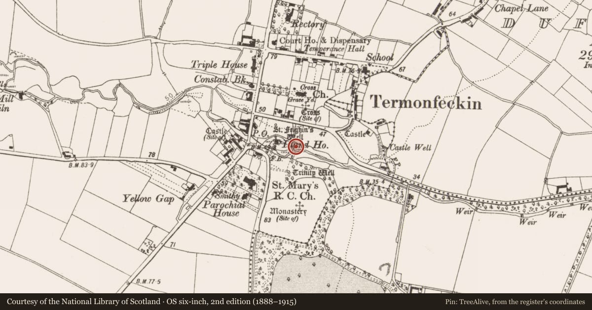 Ordnance Survey six-inch map, 2nd edition (1888–1915) covering the location of Settlement cluster, County Louth, with a pin at the register's coordinates