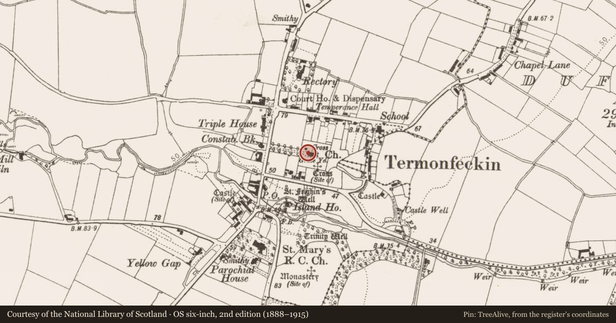 Ordnance Survey six-inch map, 2nd edition (1888–1915) covering the location of Crucifixion plaque, Termonfeckin, County Louth, with a pin at the register's coordinates