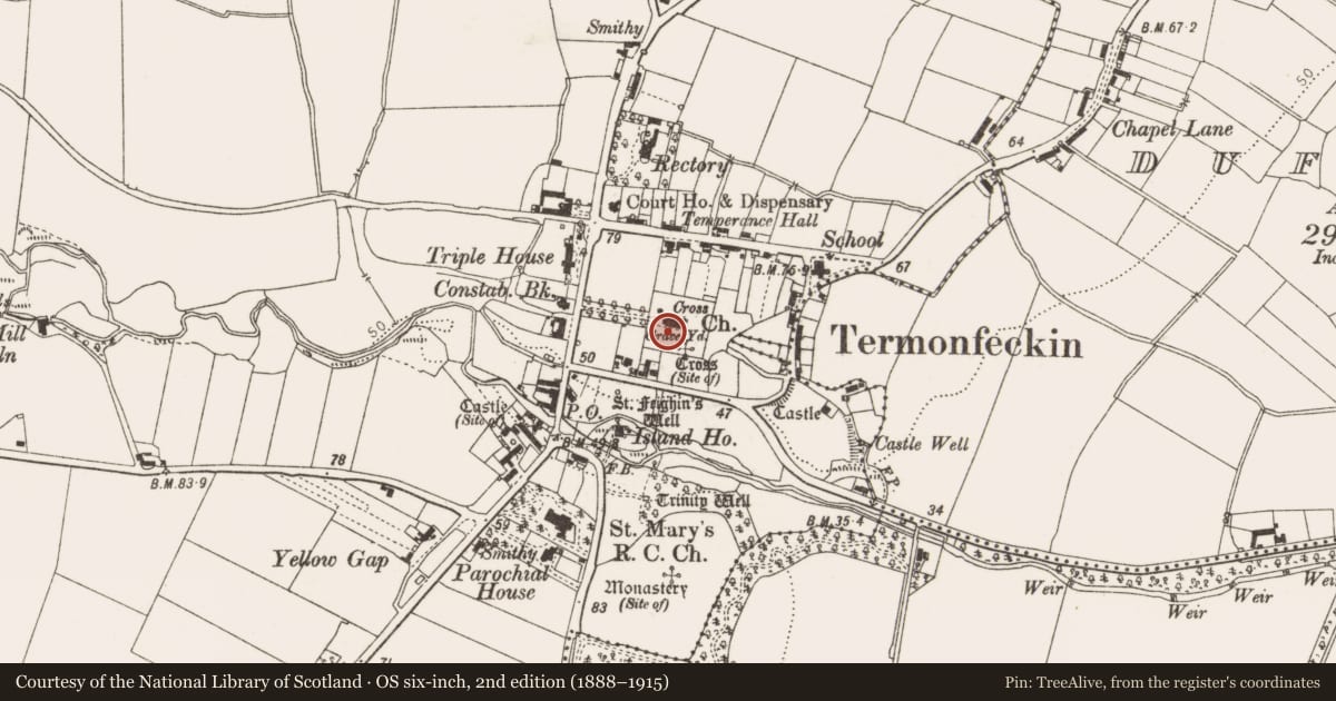 Ordnance Survey six-inch map, 2nd edition (1888–1915) covering the location of Graveslab, Termonfeckin, County Louth, with a pin at the register's coordinates