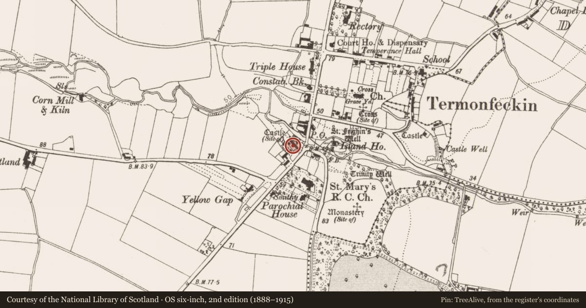 Ordnance Survey six-inch map, 2nd edition (1888–1915) covering the location of Castle - tower house, Termonfeckin, County Louth, with a pin at the register's coordinates