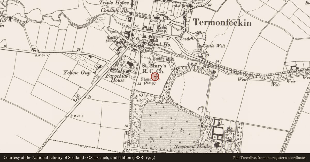 Ordnance Survey six-inch map, 2nd edition (1888–1915) covering the location of Religious house - Augustinian canons, Termonfeckin, County Louth, with a pin at the register's coordinates