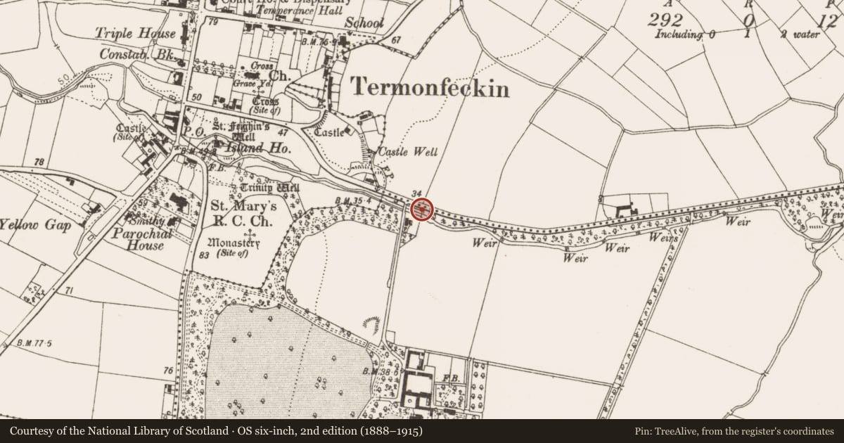 Ordnance Survey six-inch map, 2nd edition (1888–1915) covering the location of Burial ground, Duffsfarm, County Louth, with a pin at the register's coordinates