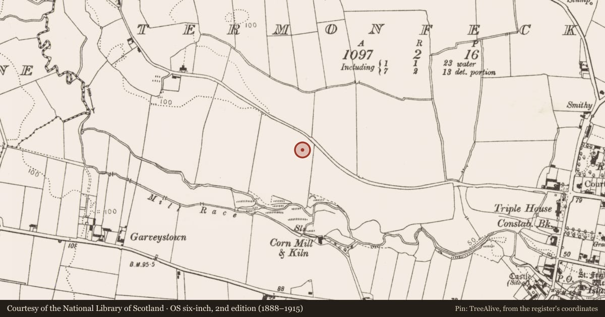 Ordnance Survey six-inch map, 2nd edition (1888–1915) covering the location of Enclosure, Termonfeckin, County Louth, with a pin at the register's coordinates