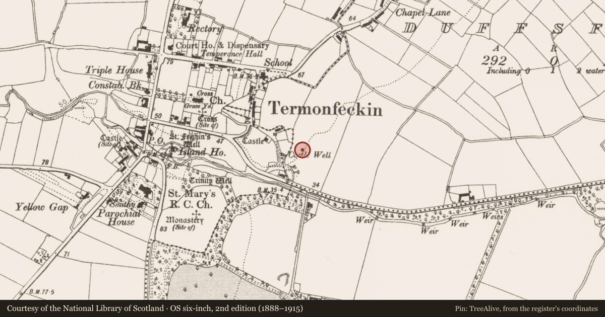 Ordnance Survey six-inch map, 2nd edition (1888–1915) covering the location of Pit-burial, Duffsfarm, County Louth, with a pin at the register's coordinates