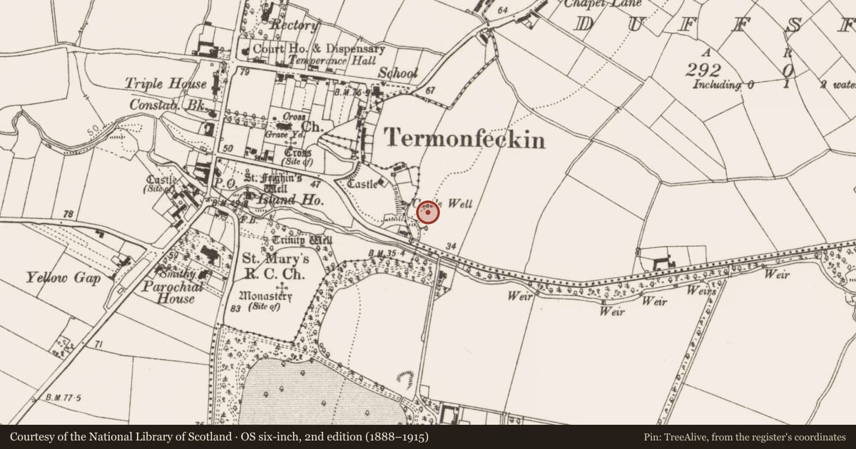 Ordnance Survey six-inch map, 2nd edition (1888–1915) covering the location of Pit-burial, Duffsfarm, County Louth, with a pin at the register's coordinates