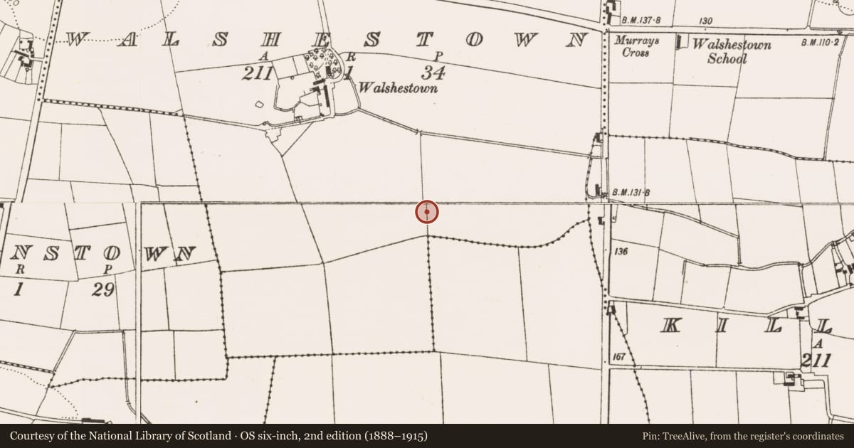Ordnance Survey six-inch map, 2nd edition (1888–1915) covering the location of Enclosure, Walshestown, County Louth, with a pin at the register's coordinates